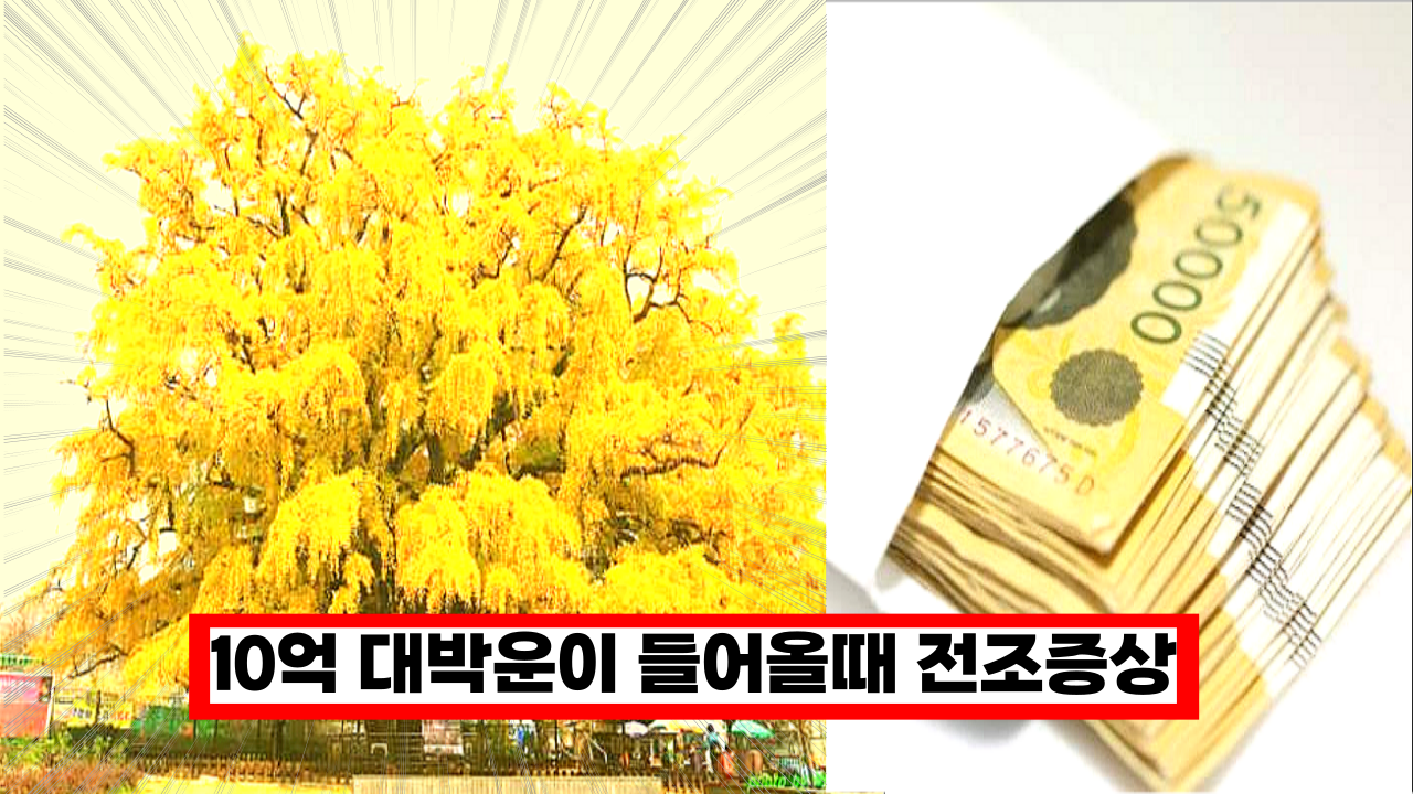  '이걸 안한다고?' 이것이 나타나면 인생일대의 대박운이 들어옵니다. 운이 들어올때의 전조증상