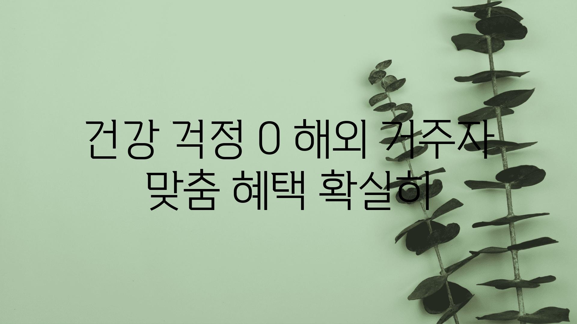 건강 걱정 0| 해외 거주자 맞춤 혜택 확실히