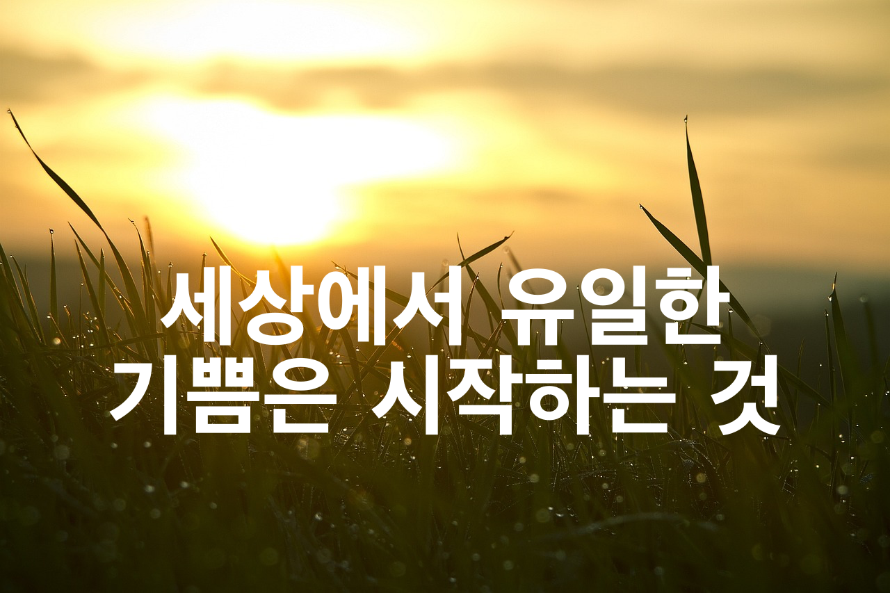 세상에서 유일한 기쁨은 시작하는 것