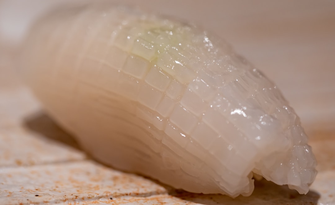 Abalone