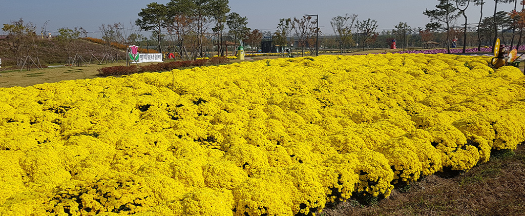 평택 농업생태원 축제 및 관람 정보 알아 보기