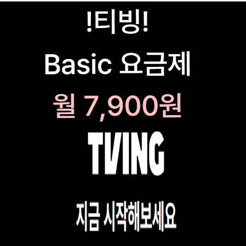 기본 요금제 (Basic 요금제)