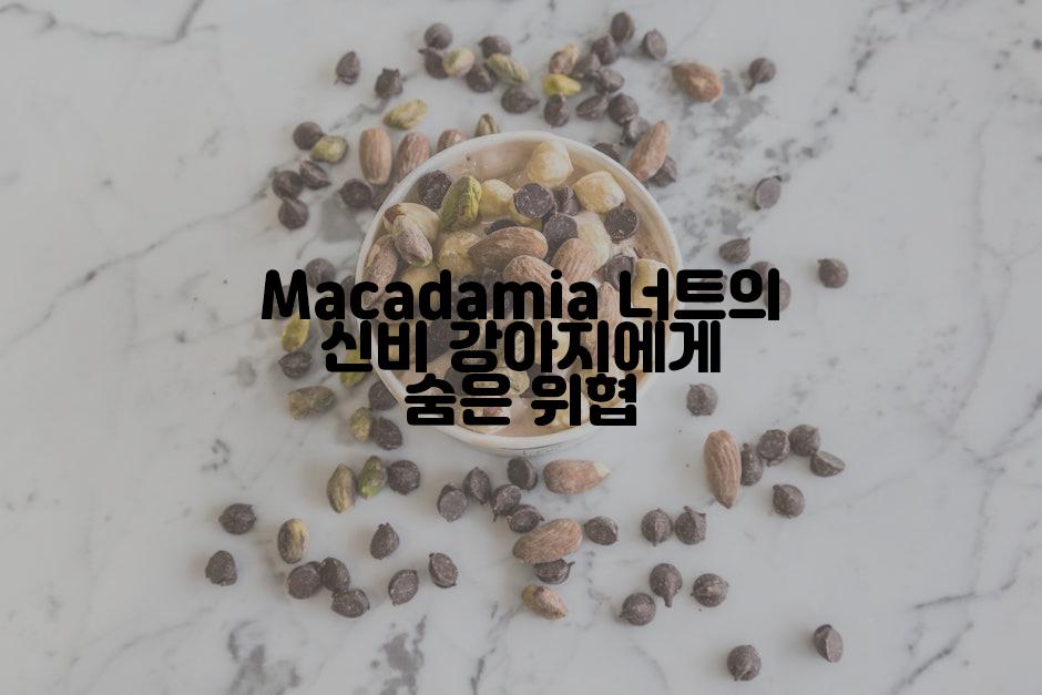 Macadamia 너트의 신비 강아지에게 숨은 위협
