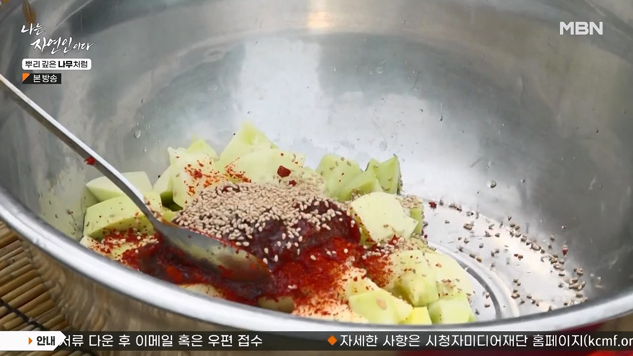나는 자연인이다.E571.230914p-NEXT.mp4_20230914_202146.399.jpg