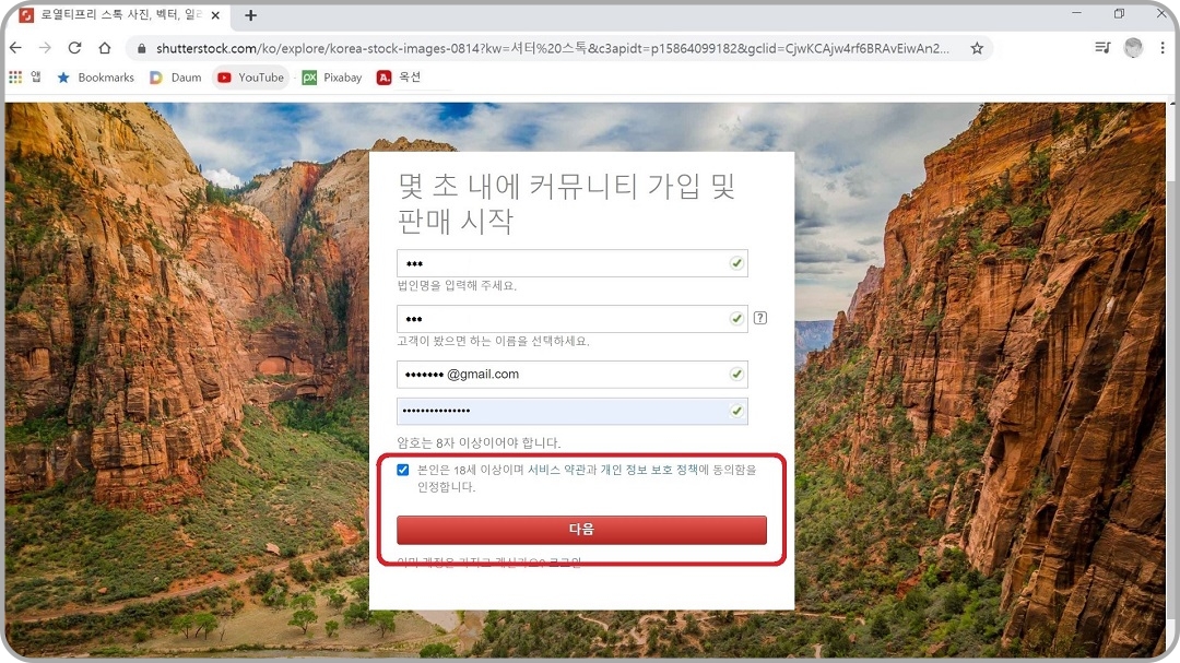 서비스-약관-체크-박스