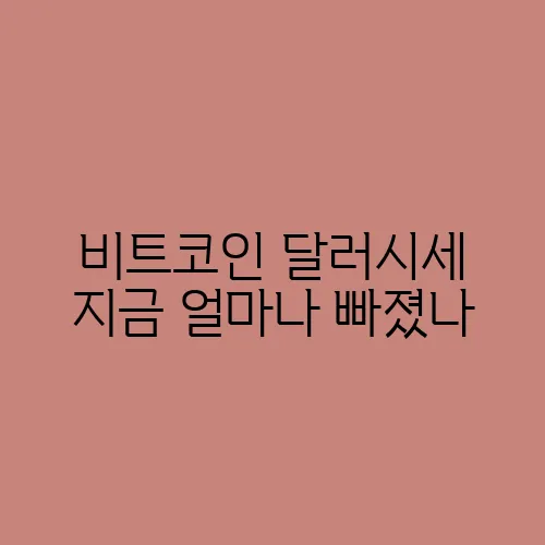 비트코인 달러시세 지금 얼마나 빠졌나