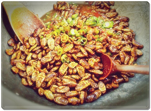 번데기