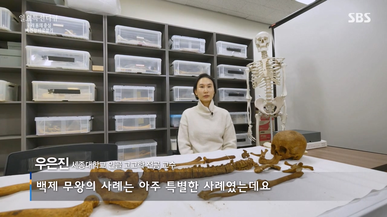 일요특선 다큐멘터리.E339.240205p-NEXT.mp4_20240206_203158.631.jpg