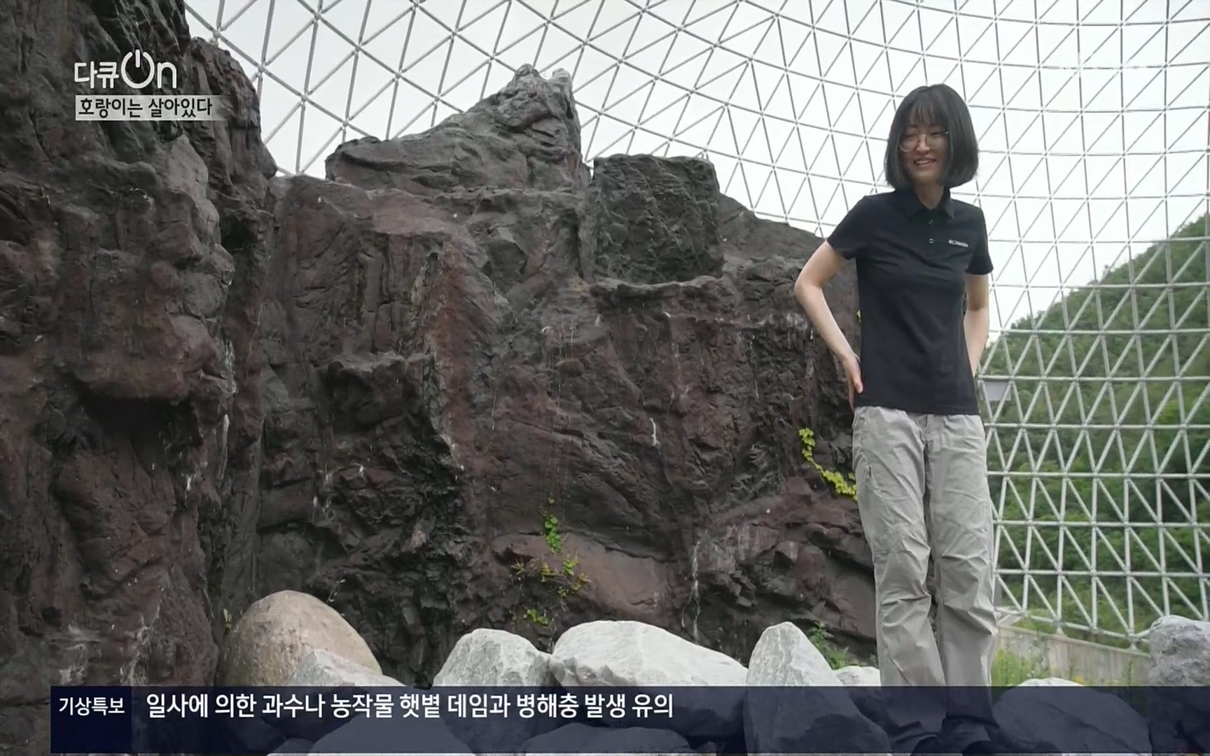 다큐 On.E150.220729p.H264-F1RST.mp4_20220730_164059.163.jpg