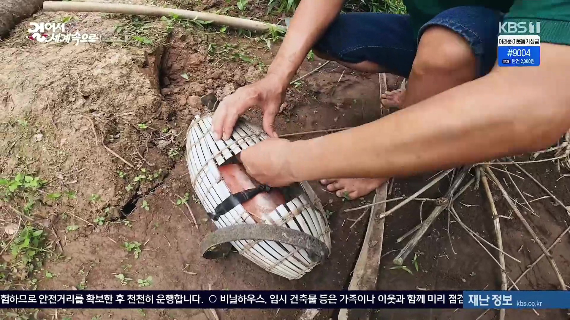 걸어서 세계속으로.E826.240120p.H264-F1RST.mp4_20240716_202146.152.jpg