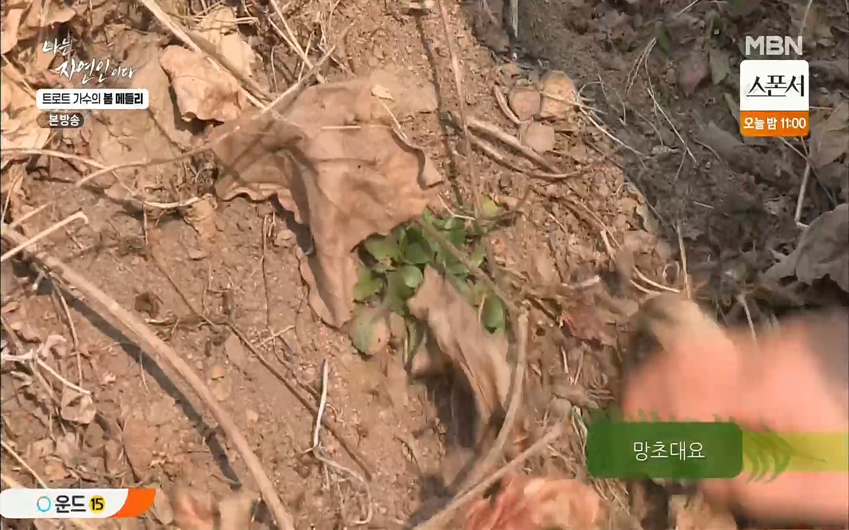 나는 자연인이다.E494.220323p.H264-F1RST.mp4_20220324_183429.496.jpg