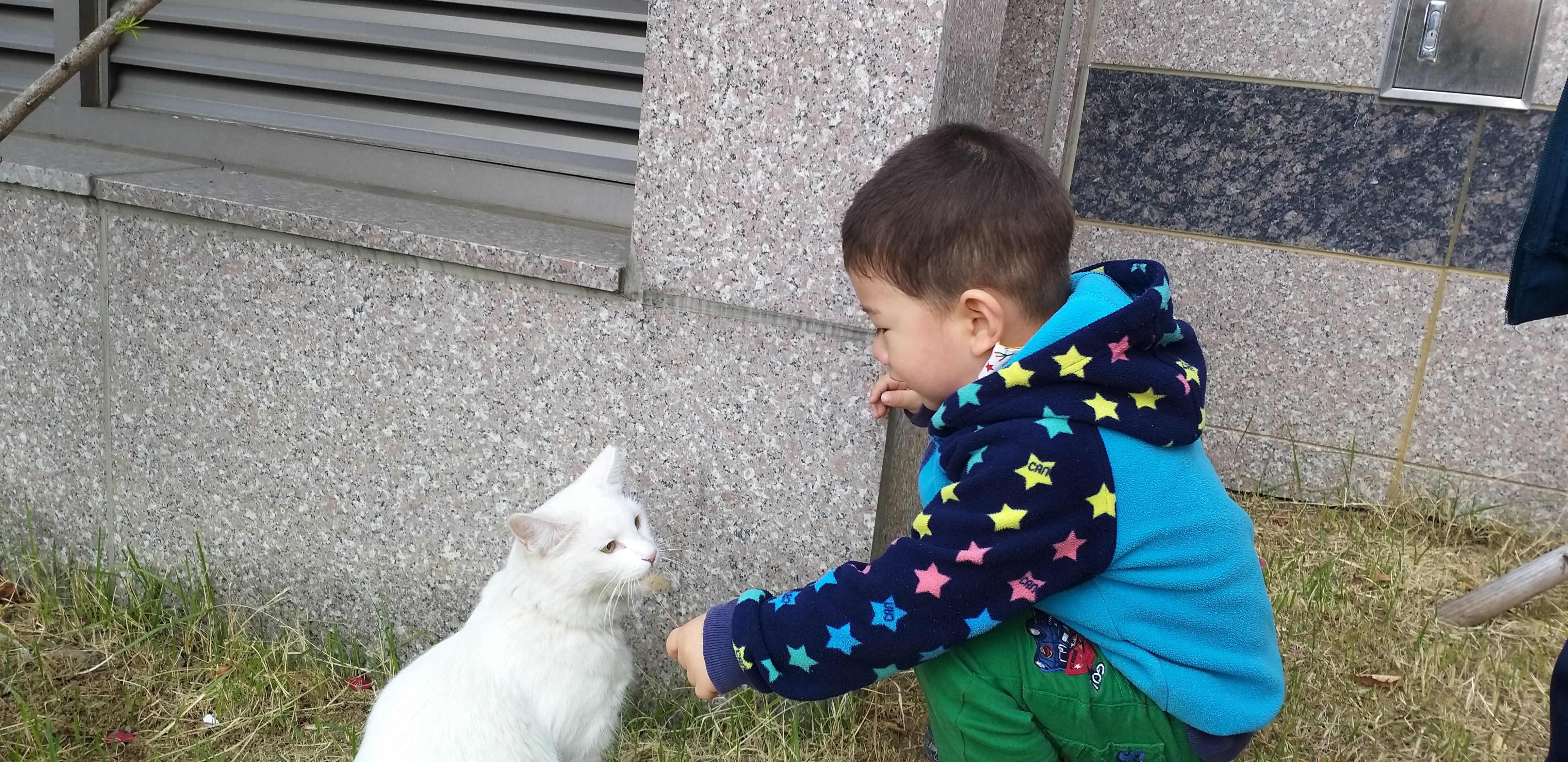  [20201025]우리동네 산책냥이 백설이랑 놀이터에서 만났어요