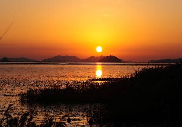 대한통운 배송지 변경 (돈, 시간, 연락, 운송장, 전화)