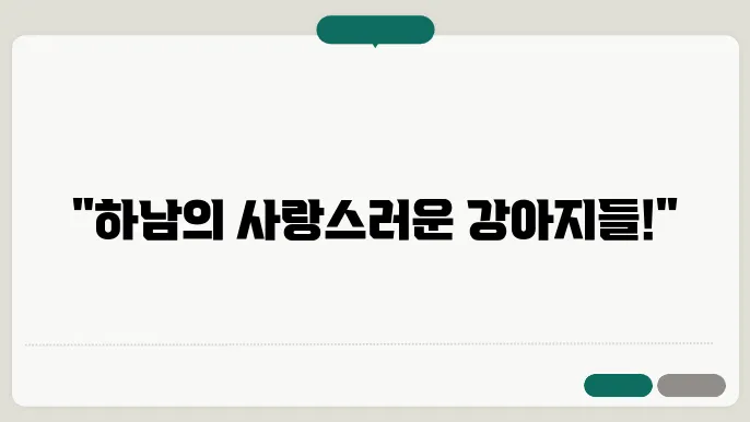 강아지보호소 활기쳂 아이들 하남강아지보호소