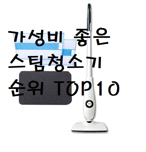  가성비 좋은 스팀청소기 순위 가장 많이 쓰는 스팀청소기 TOP 10까지.