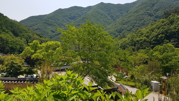 완주 전망좋은 두베카페