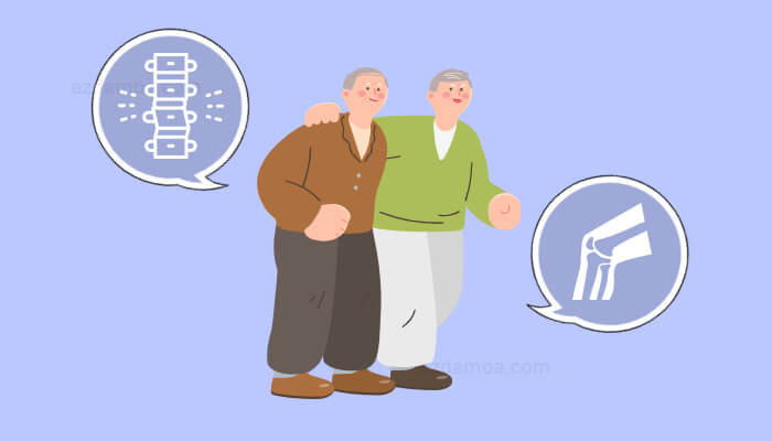 두 노인&#44; 뼈와 무릎 관절 일러스트. 근감소증의 설명을 도움.