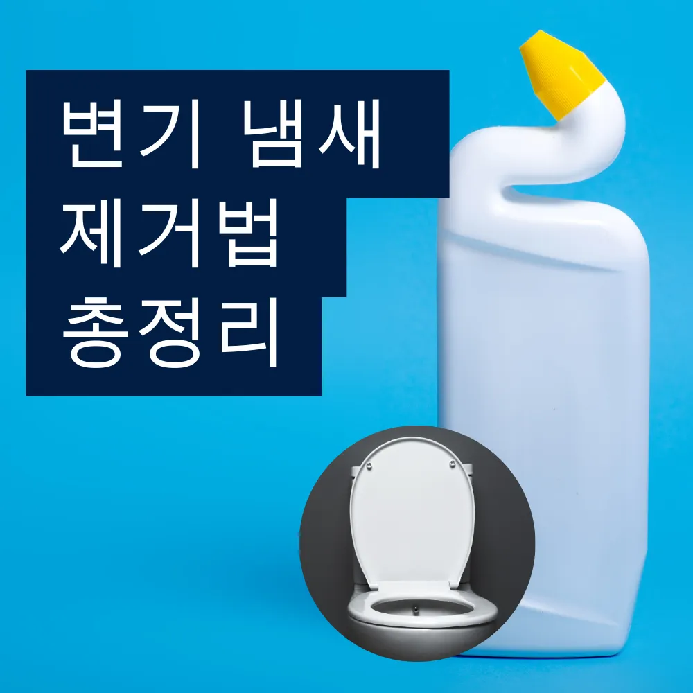 변기 냄새 제거법 썸네일