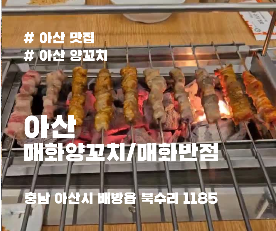 양꼬치니 이미지