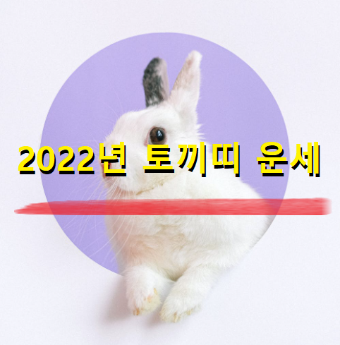  2022년 토끼띠 운세 24세, 36세, 48세, 60세, 72세 나이별 토끼띠 운세