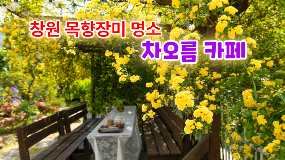 장미카페 이미지