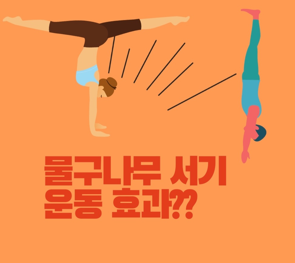  지금 물구나무를 서야하는 이유? 물구나무 효과