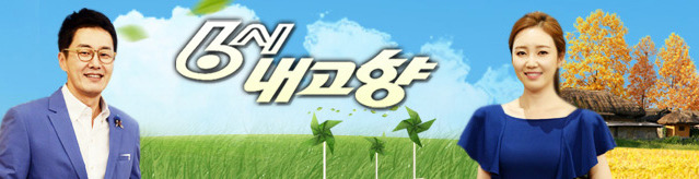 6시내고향 육회비빔밥 문의 할곳 2