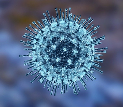 Download 코로나 확진자 그래프 9월 PNG