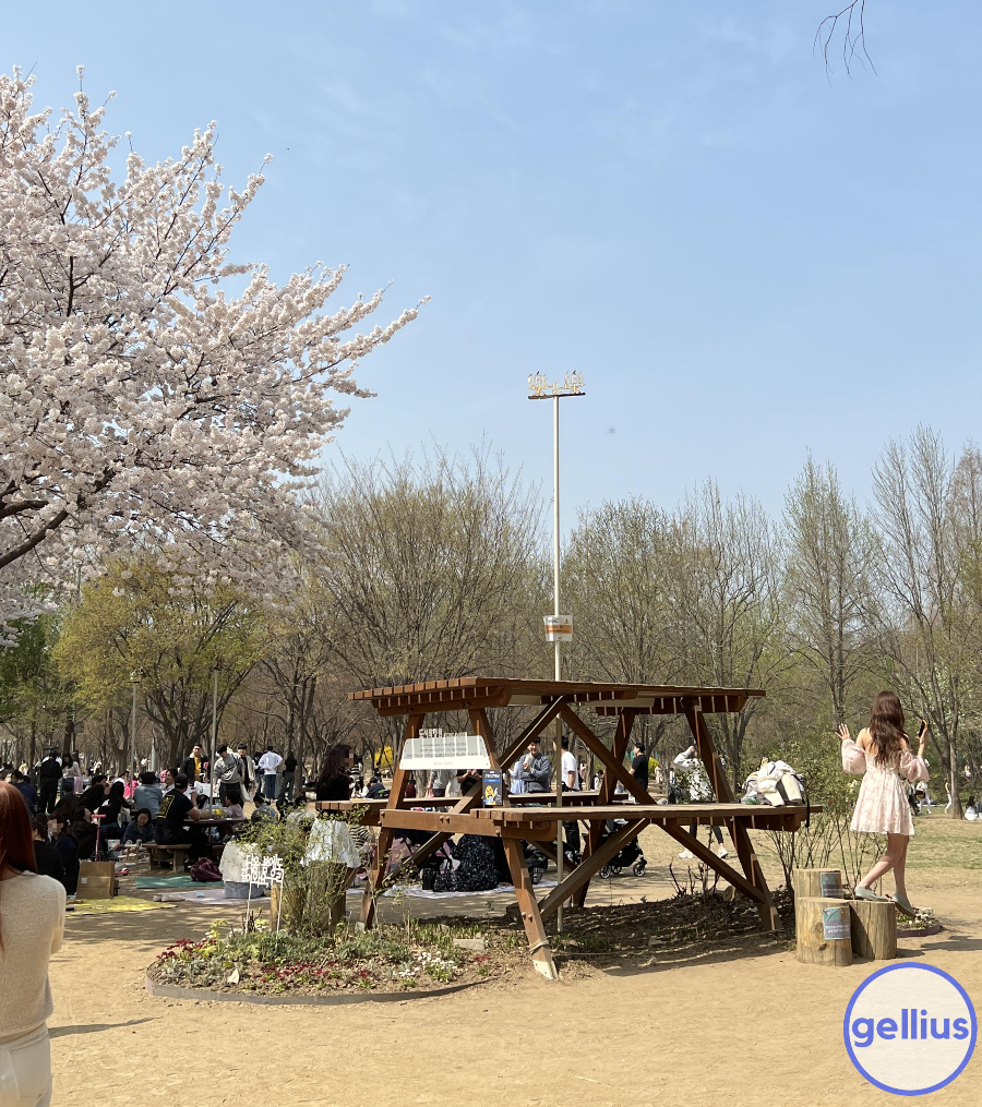 서울숲 살펴 볼 장소 세 번째&#44; 커다란 테이블