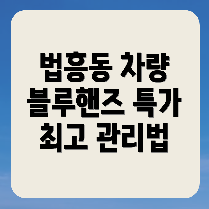 블루핸즈