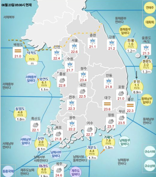 매실 수확시기 용도별 타이밍 가이드