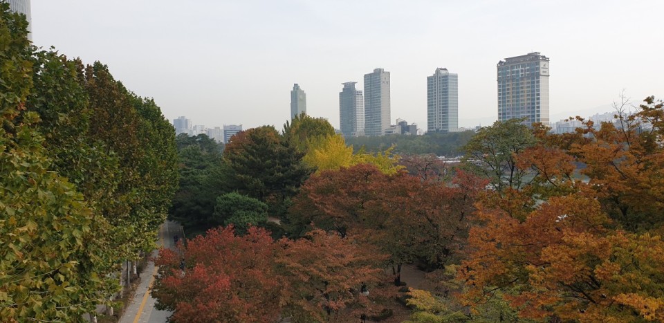  2021년 단풍절정 시기와 서울 단풍 여행지 추천