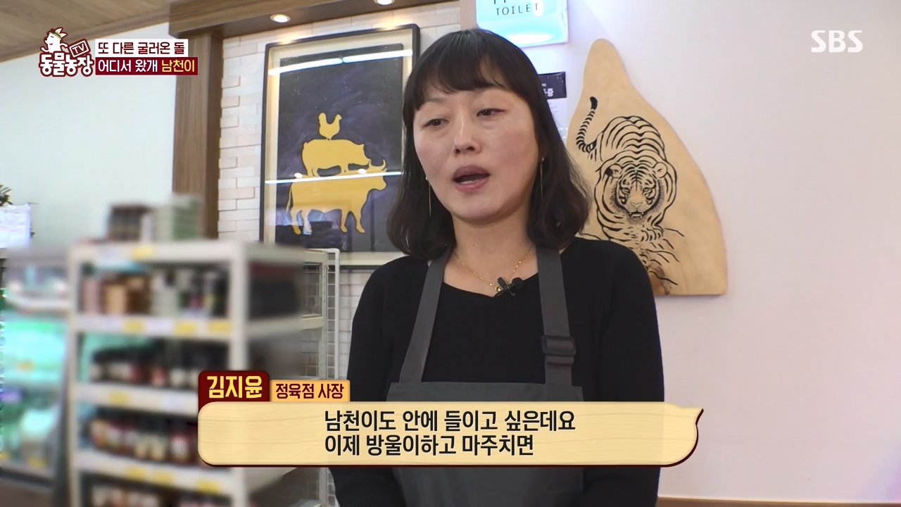 TV 동물농장.E1146.231120p-NEXT.mp4_20231119_175241.042.jpg