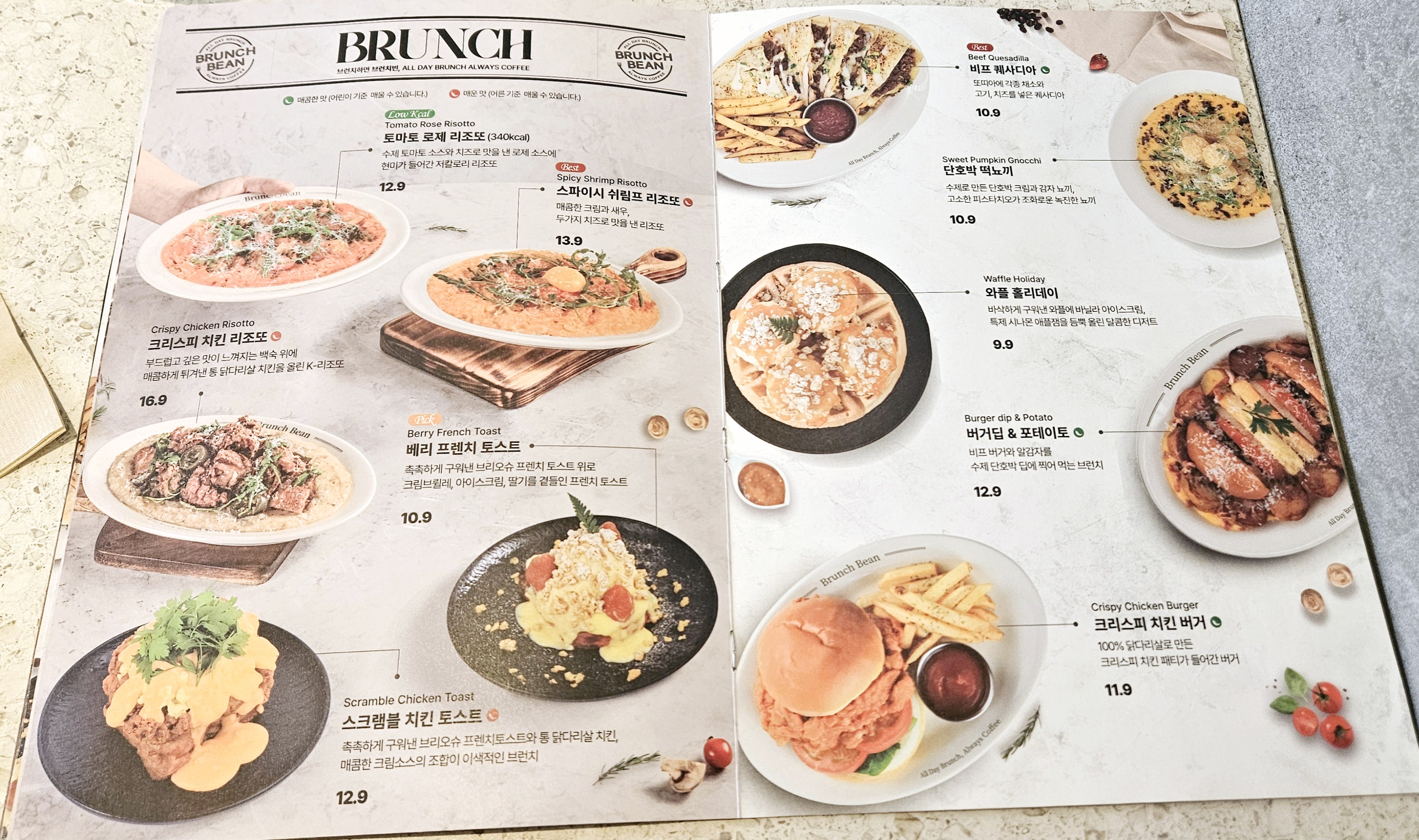 브런치빈 이미지