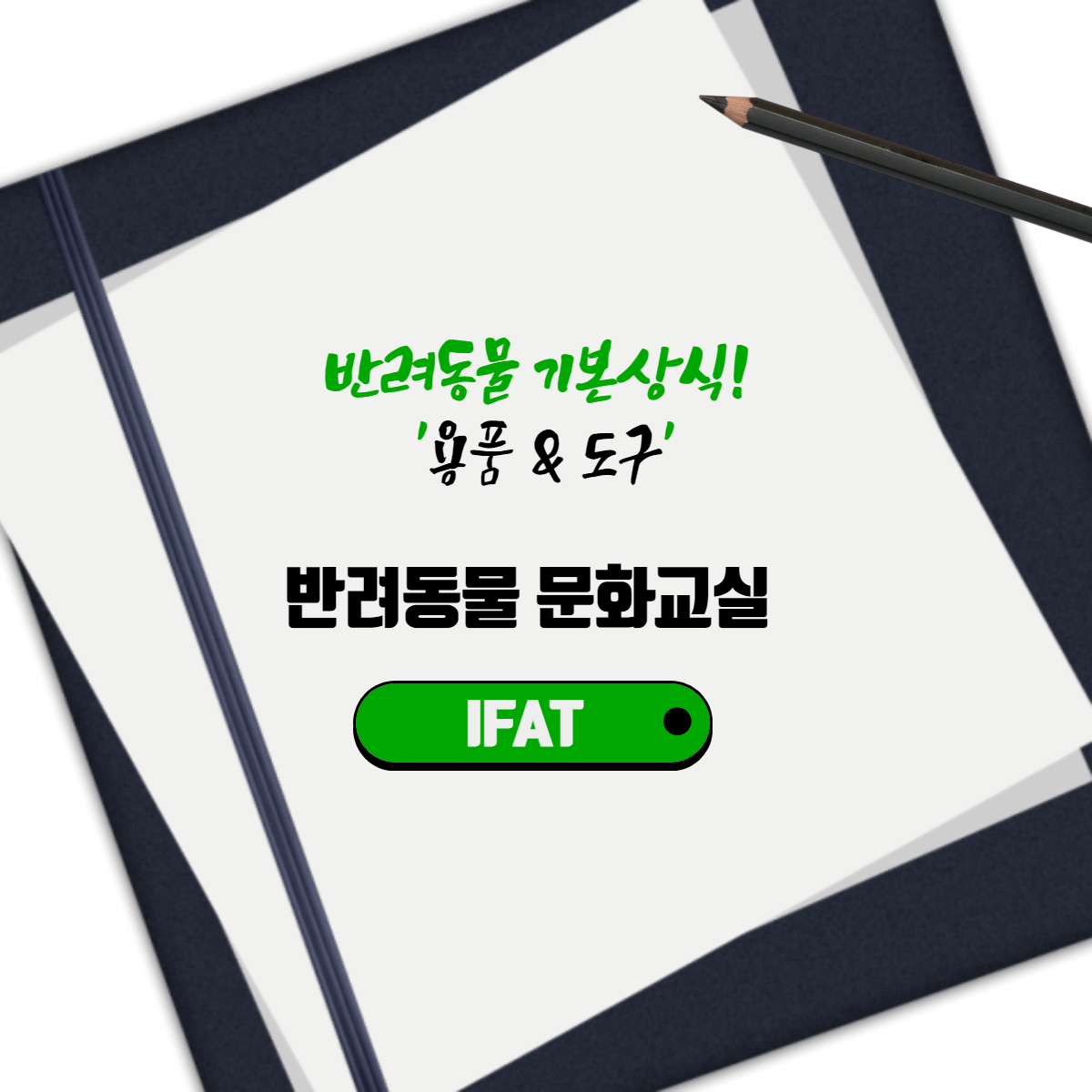  반려동물 기본상식! 반려견의 '용품&도구'