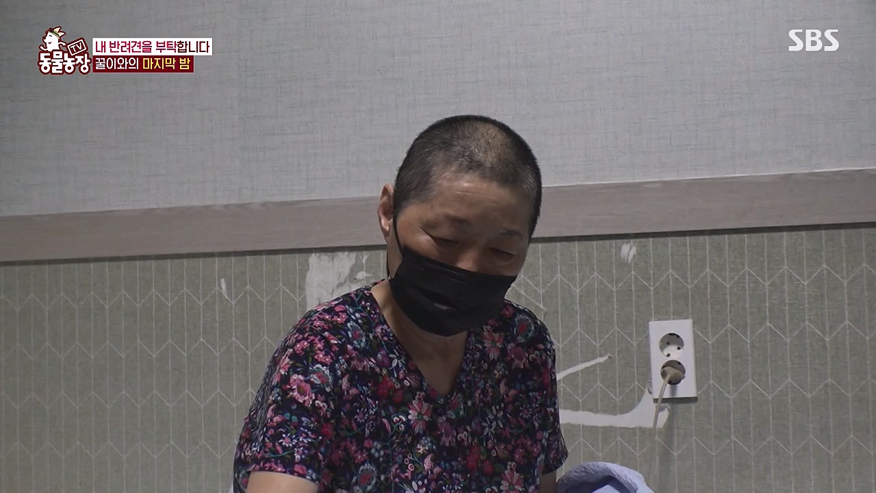 TV 동물농장.E1174.240603p-NEXT.mp4_20240602_155744.091.jpg