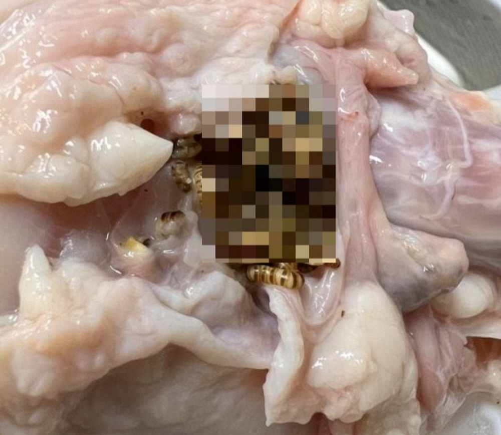 하림생닭통닭 이미지