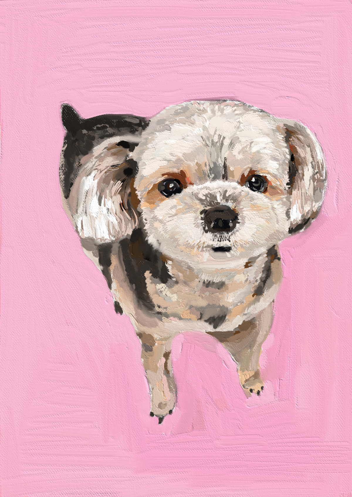 강아지 그림 쿠키