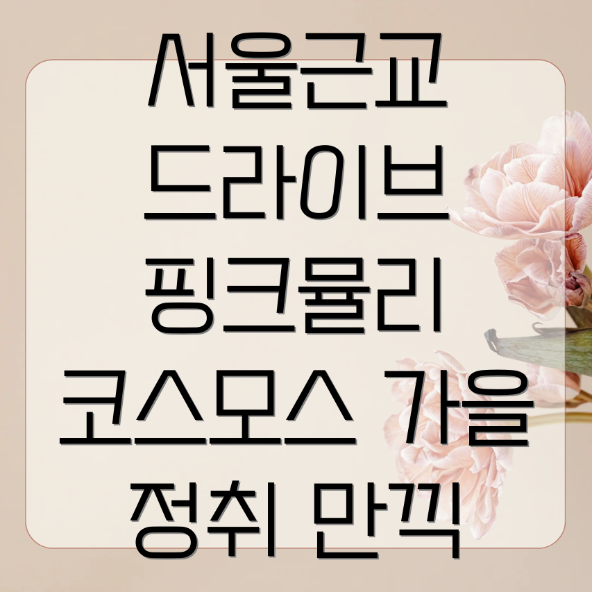 왕송호수 드라이브 코스