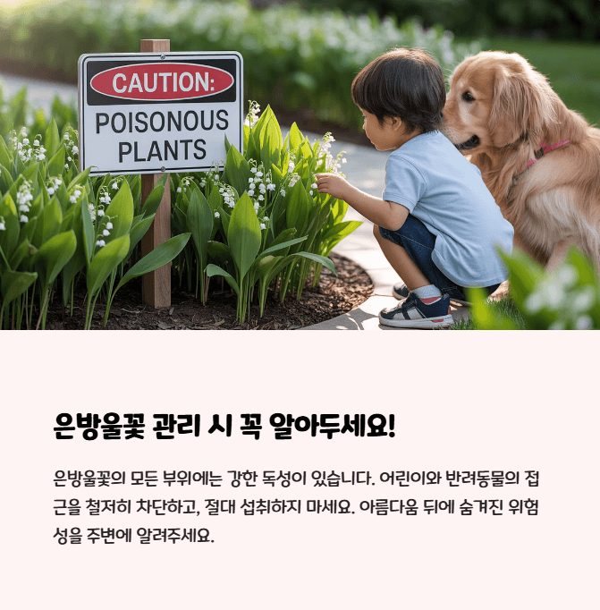 은방울꽃 독성