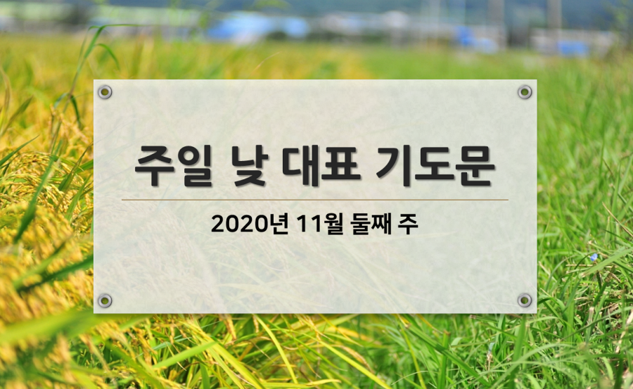  주일낮대표기도문  11월 둘째주