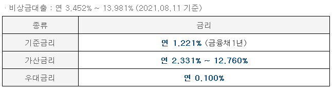 비상금대출 금리 정보