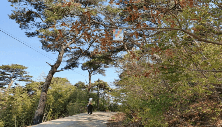 [코리아둘레길 서해랑길 77코스] 자연과 예술의 만남&amp;#44; 가족 체험 여행 필수 코스