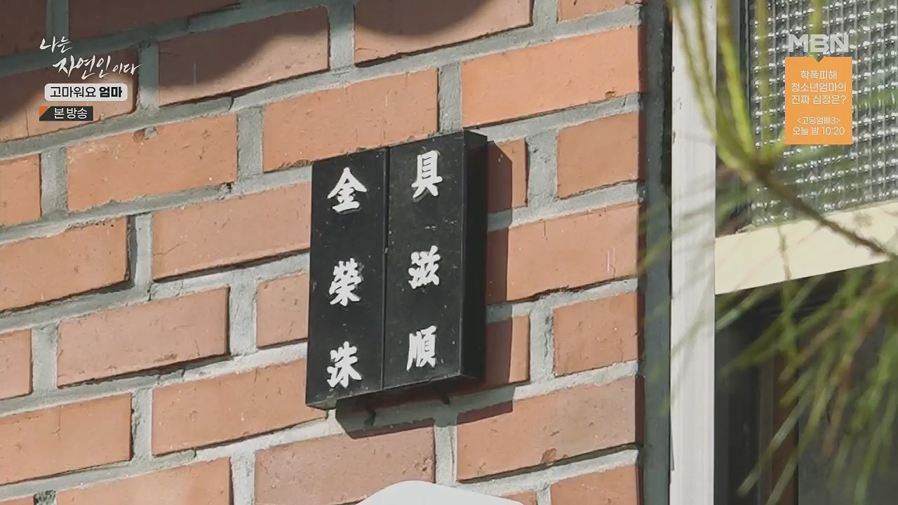 나는 자연인이다.E554.230518p.H264-F1RST.mp4_20230518_194509.249.jpg