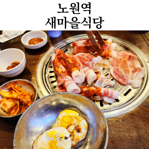  노원역 맛집 새마을식당 모임장소 열탄불고기 7분김치찌개