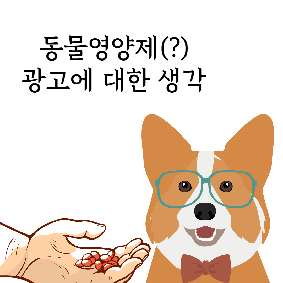 동물영양제 광고