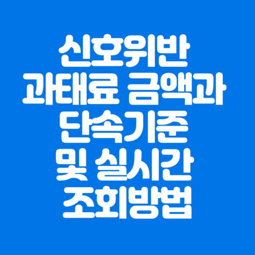 신호위반과태료금액과단속기준및실시간조회방법-파란바탕-하얀글씨-썸네일이미지