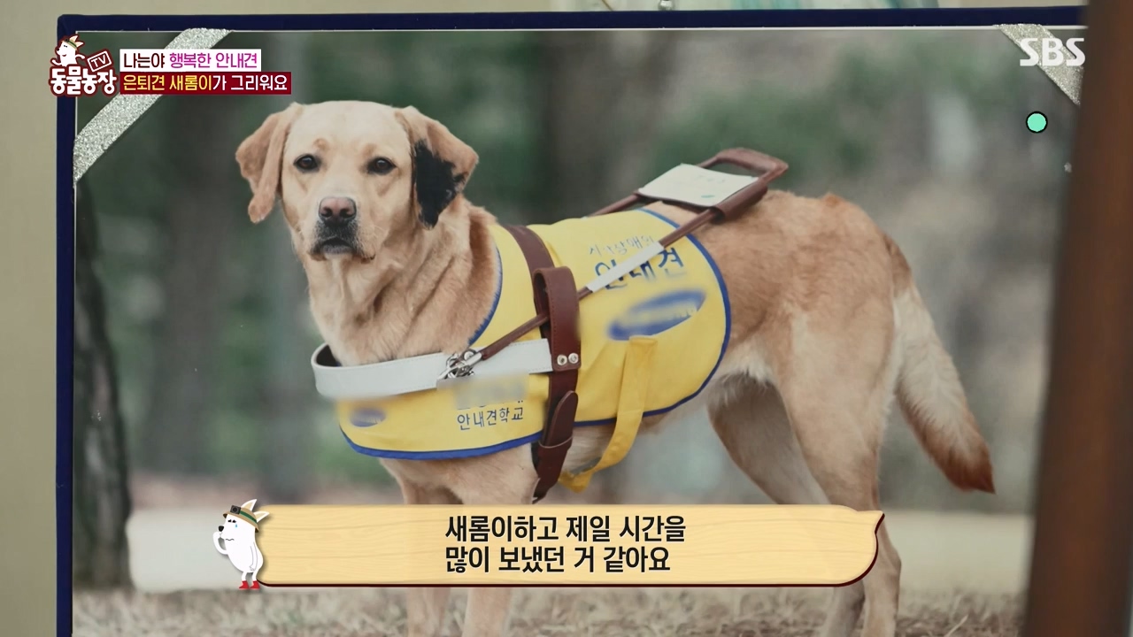 TV 동물농장.E1122.230529p-NEXT.mp4_20230528_170258.078.jpg
