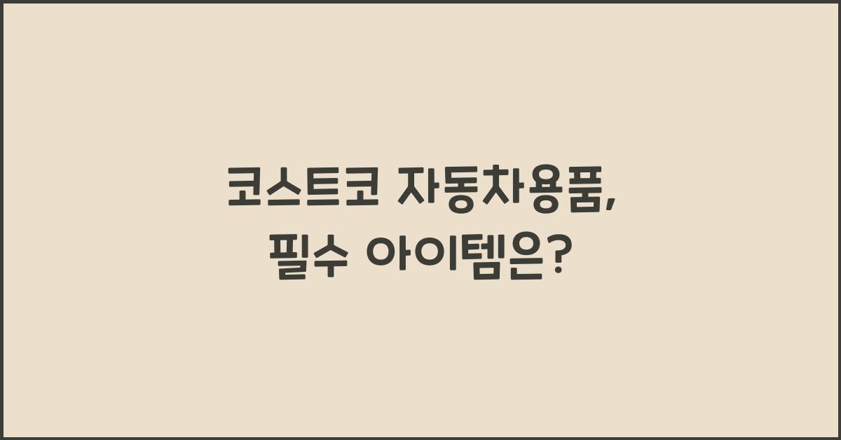 코스트코 자동차용품