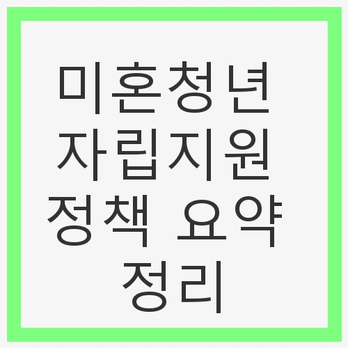미혼청년 자립지원 정책 요약